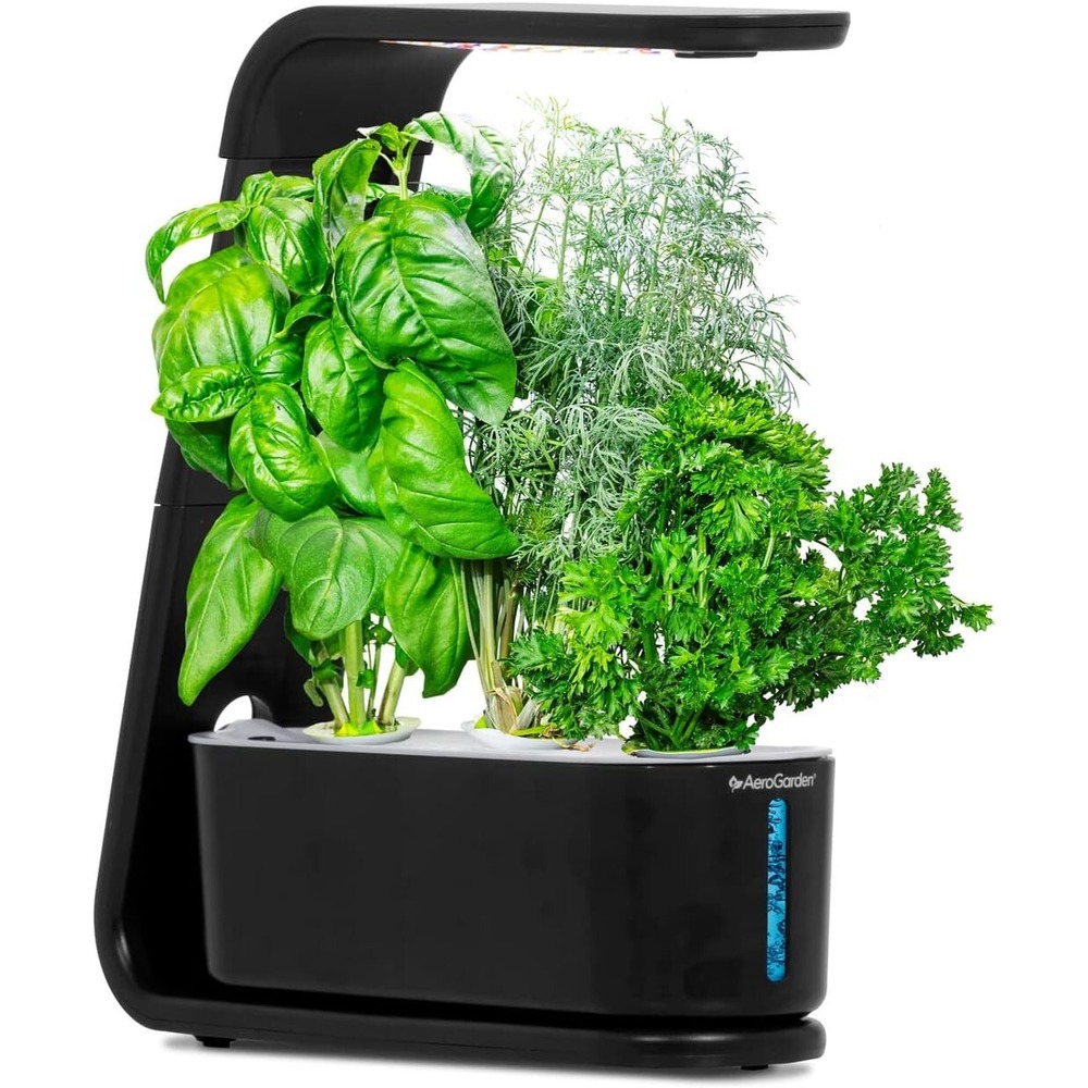 AeroGarden Sprout 3-Pod Indoor Hydroponic Garden Gourmet Herb Kit Black